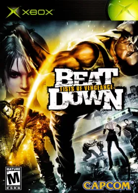 Beat Down Fists of Vengeance (USA) box cover front